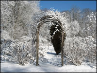 Click to view a large picture of the Butterfly Garden at winter