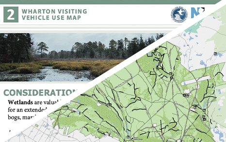 Poster & Map 2: Consideration of Wetlandsg
