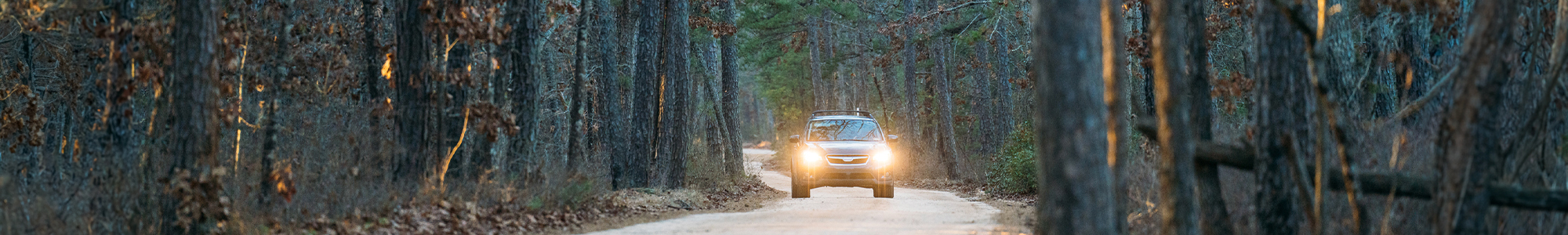 Car driving on sand route: Wharton State Forest Visiting Vehicle Use Map