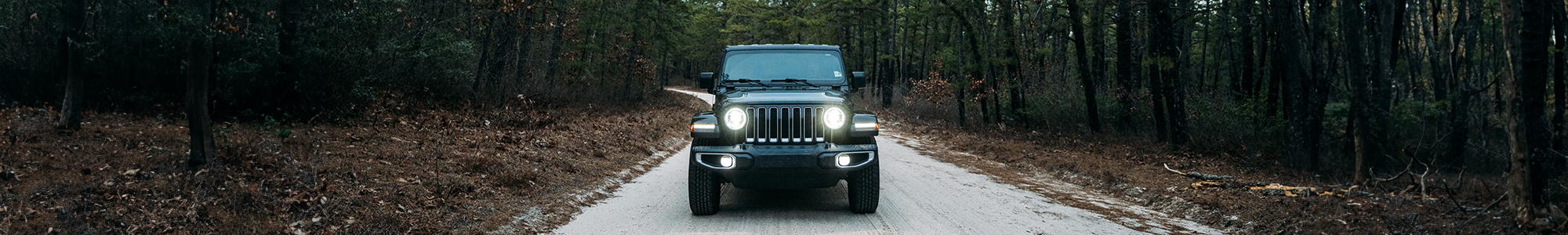 Jeep: Wharton State Forest Visiting Vehicle Use Map